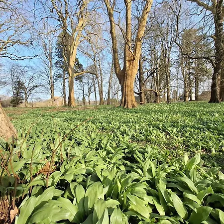 Διαμέρισμα Am Schwanenteich
