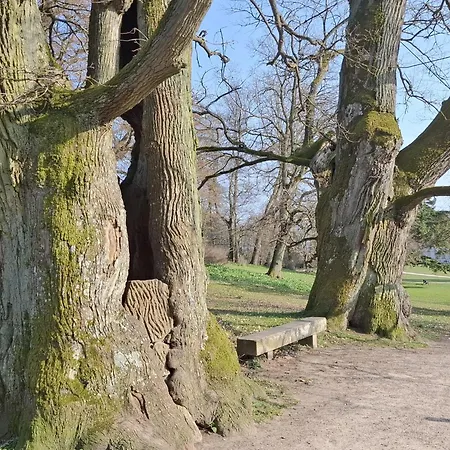 Am Schwanenteich * Putbus