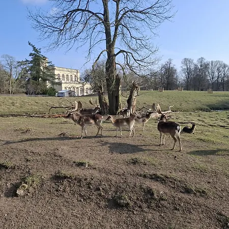 Am Schwanenteich Διαμέρισμα *