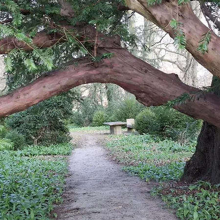 Am Schwanenteich Διαμέρισμα