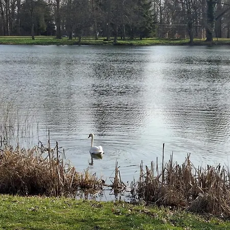 Am Schwanenteich Putbus